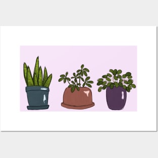 Plant Trio 1 Posters and Art